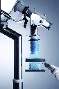 Clip & Cut 3.webp