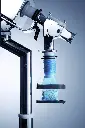 Clip & Cut 2.webp